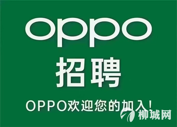 OPPO手机招聘岗位