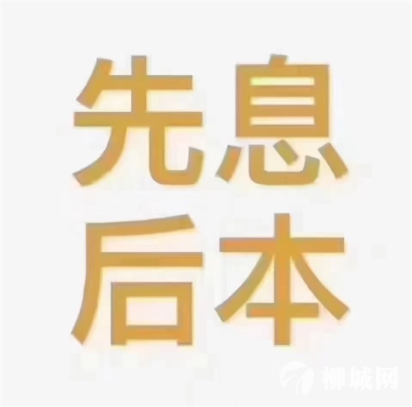 无抵押信用贷款