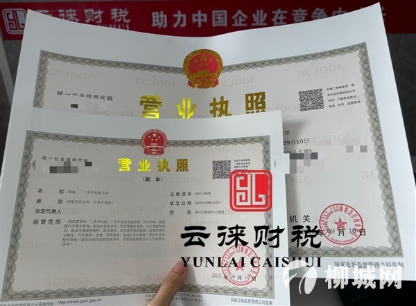 注册执照 代理记账报税 财务咨询