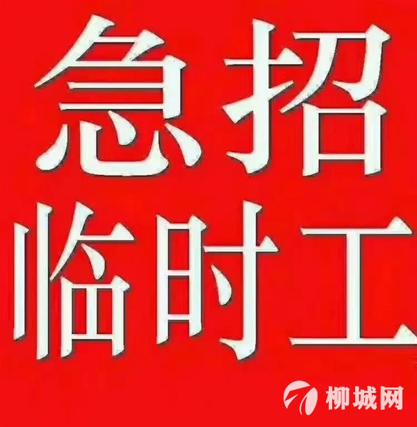 招装箱临时工