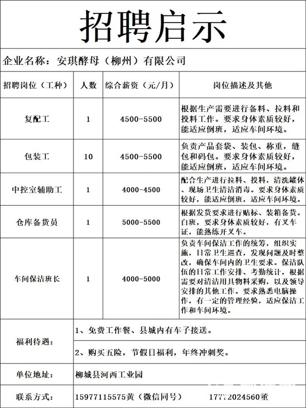 招聘！