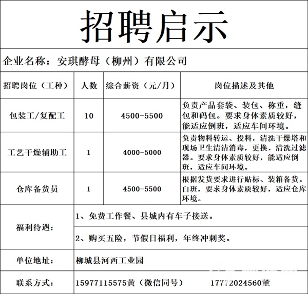 招聘！